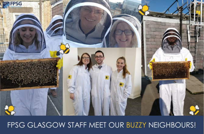 Meeting our Buzzy Neighbours!