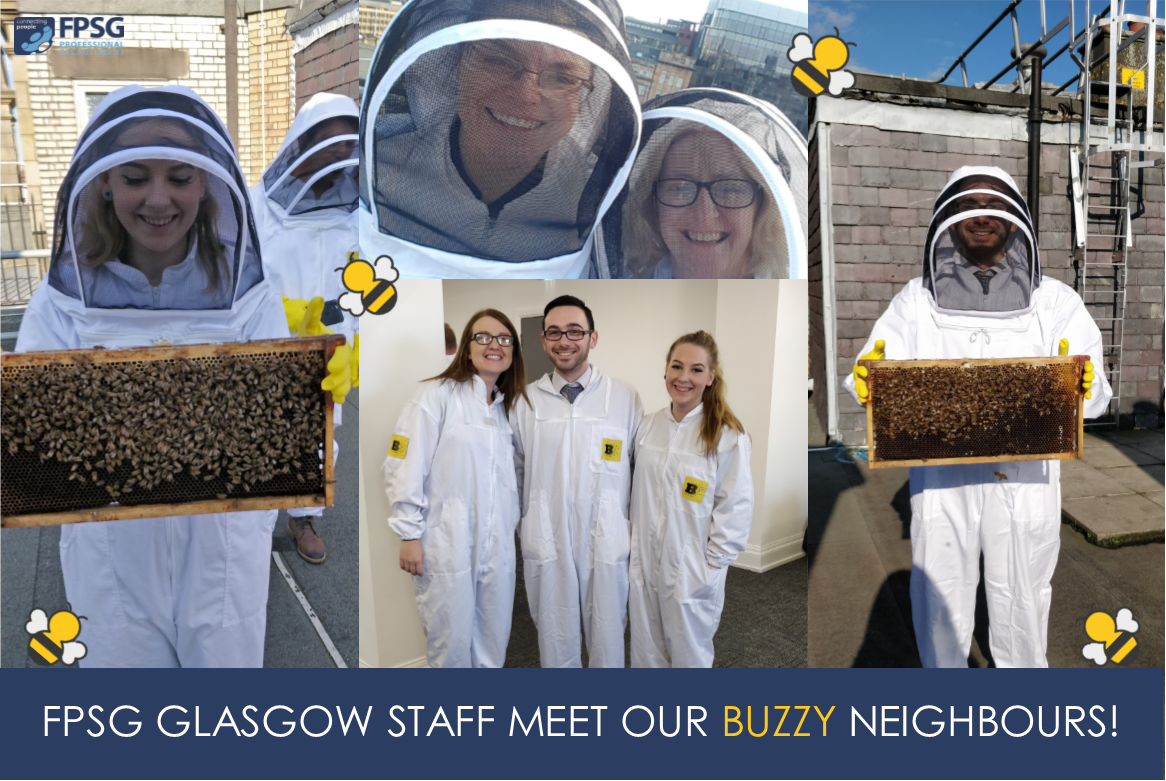 beehive suits
